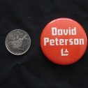 1981 David Peterson Constituencey Button - Image 2