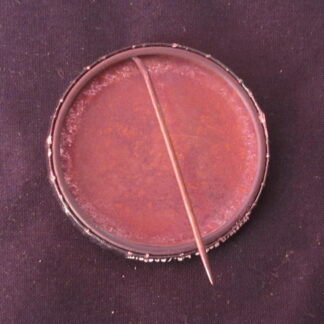 1968 Richard Nixon Election Button - Image 2
