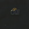 1995 Quebec Referendum Yes/Oui Lapel Pin